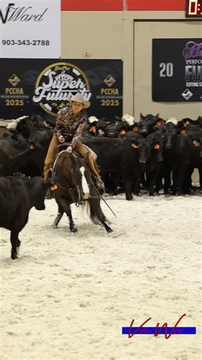 𝘾𝙃𝘼𝙈𝙋𝙄𝙊𝙉𝙎! Cash For Candids and Karen Brody threw down a BIG 219 in the Intermediate Amateur Derby to take home the Champion title this morning 💥 🎥 Video West Productions •••• #morgancromercuttinghorses #teamcromer #crranchwear #iconoclastboots #kimesranchjeans #RunningHorseFeeds #cuttinupshowblankets #harlandfeeds #McAllisterassets #diamondwoolpads #platinumperformance #haychix | Morgan Cromer Cutting Horses