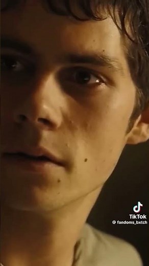 Y/n x Maze Runner Cast