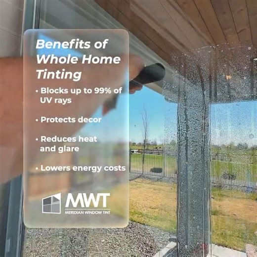 Privacy Window Films: Meridian Window Tint