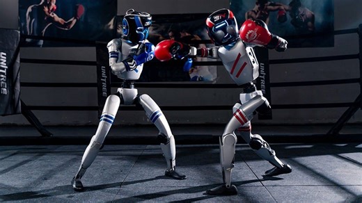 China celebró el primer combate de boxeo entre robots humanoides