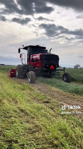 2025 Farming Season Insights and Strategies