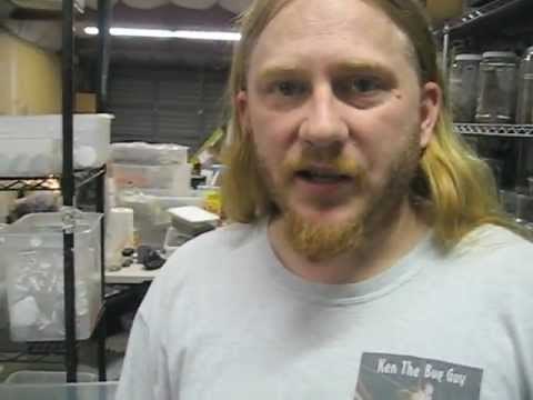 Meet KEN the BUG GUY!