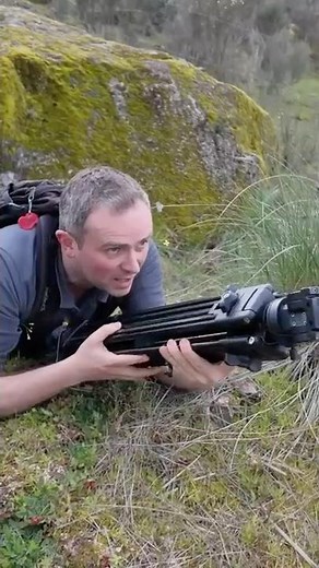 Born in Fire: The Legend of the 95th Rifles