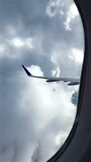 SAS Flight Takeoff from Window View | Smooth Scandinavian Departure ✈️🇸🇪