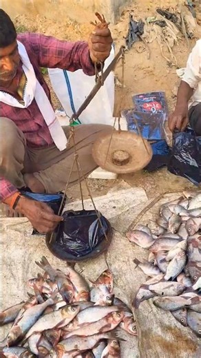 TILAPIA FISH CUTTING/Arunsaroj #shortvideo #fishing #shorts #trending #food #viralreels #fish