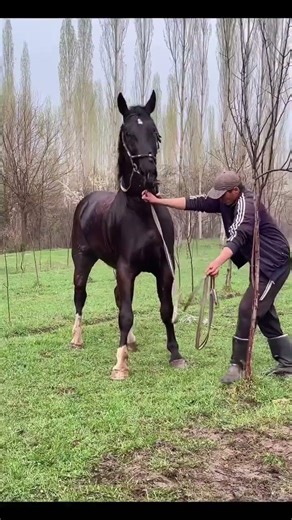 9 апреля 2026 г.