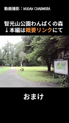 【トイカメ動画／智光山公園／KODAK CHARMERA／おまけ_ド猫ピクニック_2026/6/28】 #散歩 #トイカメラ #ピクニック