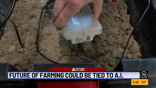 Future of farmer could be tied to artificial intelligence