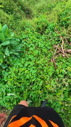 2.4K views · 949 reactions | Memory Lane | Farm 4 Life | Facebook