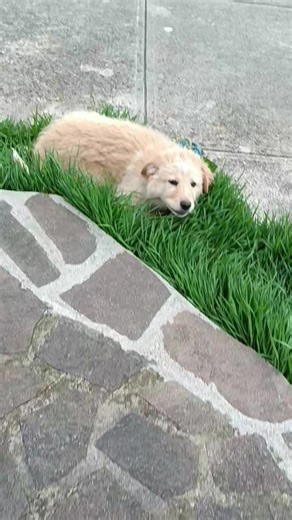 2.2K views · 76 reactions | Un'ora tre condivisioni, Se tutte le...