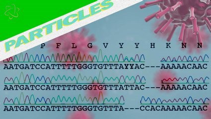 Coronavirus mutates to escape immune system