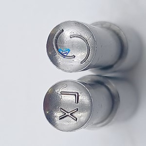 [Hot Item] Punch Tooling/Tablet Press Dies/Mould for Tdp1.5/5 Tablet Press Machine