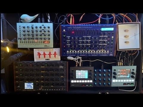 Kellerfalter | Live Hardware Track | MFB Tanzbar 2 | MFB Synth Pro | 1010 Music Black and Bluebox
