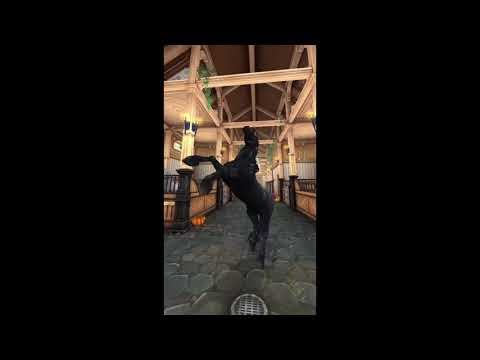 Challenge Tik Tok sso.