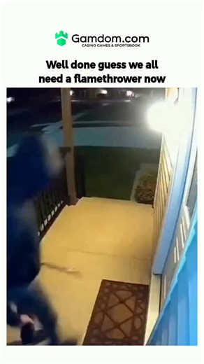 Sorin larkov | The video captures a December 11, 2025, nighttime intrusion where a homeowner deploys a flamethrower through the door, instantly repelling... | Instagram