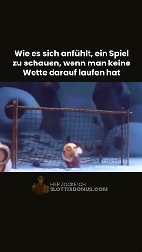 Wenn du ein Spiel schaust, ohne gewettet zu haben 😂