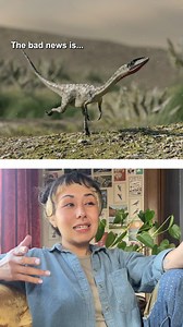 5.7K reactions · 283 shares | We’ve been wrong this whole time about where to look for the earliest dinosaurs #dinosaurs #walkingwithdinosaurs #fossils #paleontology | Eons • PBS | Facebook