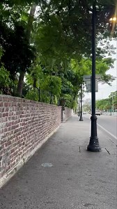 THE HEMINGWAY HOUSE ON A TUESDAY MORNING IN KEY WEST…. #KEYWESTCHARTERBOAT #KEYWESTPARTYBOAT #KEYWESTSAILBOAT | FishMonster Key West