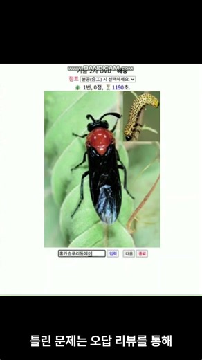 Secondary Pest Identification DVD