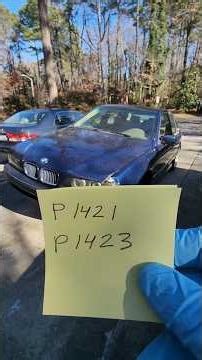 BMW p1423 p1421 air pump issues