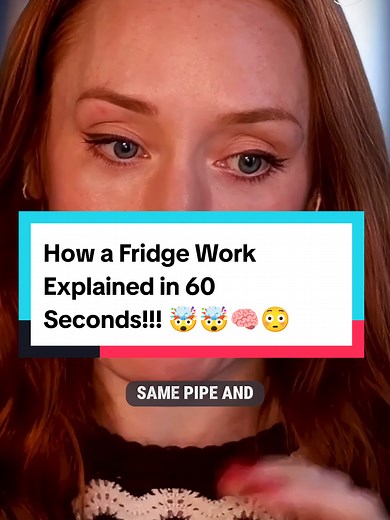 How a Fridge Works Explained in 60 Seconds!
