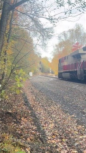 CSX Western Maryland Heritage Unit #shorts #railroad #trains #csx #trains #railfan #railfanning