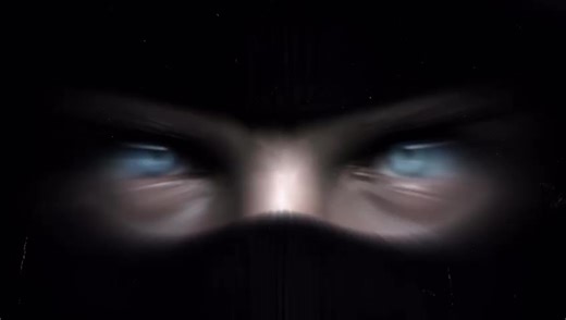 Fler - A Reminder of His Musical Journey