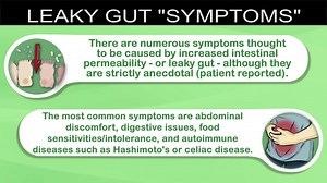 2.9K views · 69 reactions | Leaky gut syndrome is a relatively new condition that is becoming more and more common. In this video I'm looking at the so-called symptoms and associated diseases. Skeptical. | Diet vs Disease with Joe Leech - MSc Nutrition & Dietetics | Facebook