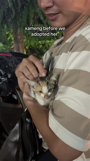 Sobrang Sweet: Trexy nagpapaaruga ng alagang-ampon (Nala)