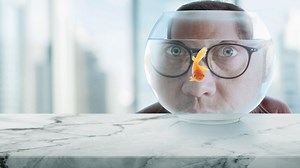 Real Rob Reviews - Metacritic