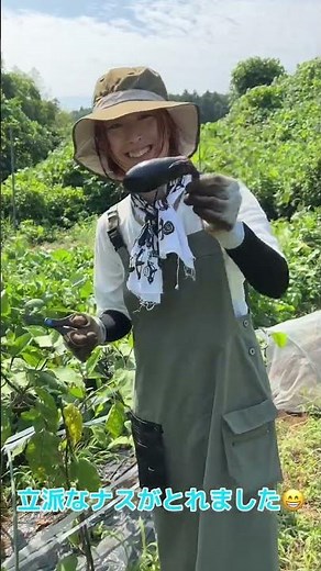 小豆の花が開花！ 枝豆の収穫を初体験 【畑女子】