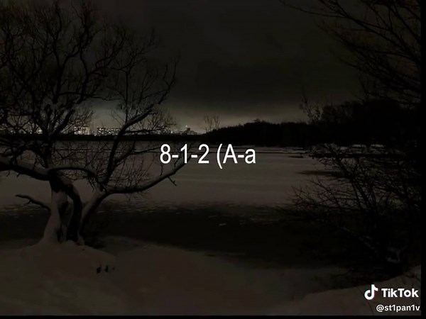 Fortuna Lyrics and Video Backgrounds