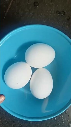 cooking tips in tamil/cooking tips/samayal kurippu in tamil/egg tips#shorts