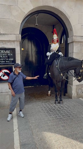 13K views · 209 reactions | Tourist Enters the Box — Guard Shouts “Get Out! #KingsLifeGuard #HorseGuards #RoyalGuard #LondonLife #RoyalTradition #RespectTheGuard #TouristMoment #BritishArmy #RoyalCeremony #TraditionAndPride #ILoveLondon #fblifestyle #GuardInAction #RoyalDiscipline #LondonReels | The Royal King’s Guards Reel | Facebook