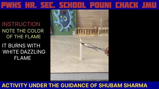 🔬 Living Science | Class XI & XII 🧪 Hands-on learning in Physics, Chemistry and Biology as our senior students strengthen concepts through experiments and observation. Practical knowledge that builds confidence and scientific thinking. ✨ Seeing is Believing We build personality. We also educate. 📌 PWHS is not a CBSE-affiliated school but follows the CBSE pattern of education. #PWHS #SciencePracticals #Class11 #Class12 #LearningByDoing | Playway House Hr Secondary