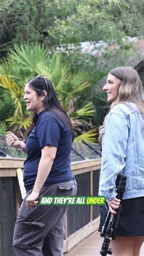 Meet Your Neighbors - The Brevard Zoo #thingstodo #zoo #brevardzoo #centralflorida