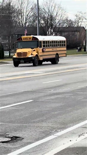 Bus 258 driving by on Morse road