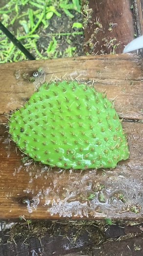 OMG 1 minute 😱 !! #asmr #fruit #fruits