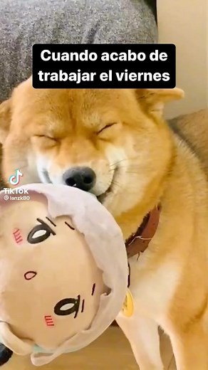 mellamancopo on Instagram: "Cuando acabo de trabajar el viernes 🥳 ▪️Por lanzk80 en TikTok ▪️"