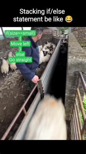 Code Within on Instagram: "Sorting 😂😂 #fyp #foryou #foryoupage #programming #coding #dsa #datastructures #algorithm #javascript #codinglife #codingpics #100daysofcode #python"