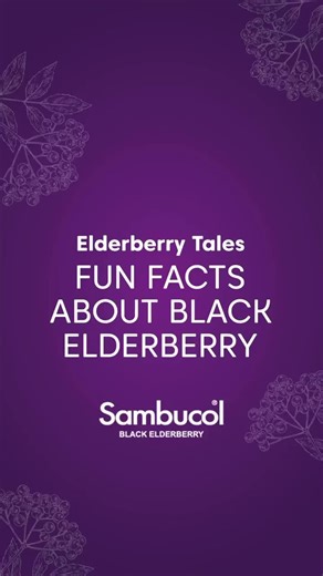 Sambucol Singapore on TikTok