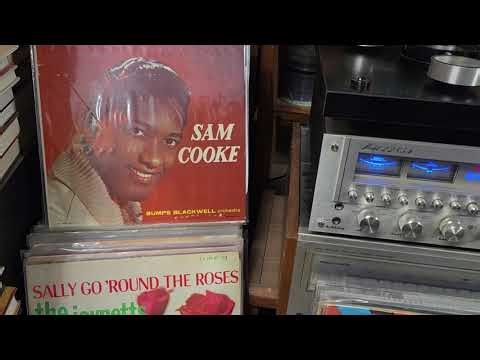 Stevie Wonder-Hey Love