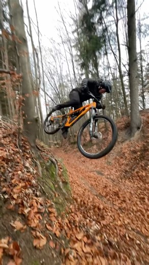 Making it even more fun! Tree stomper