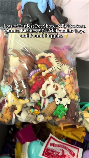 My mom found a bin of my old toys from the 90’s. Littlest Pet Shop (the OG version that actually looked like animals), Polly Pockets, Quints, Barbies, 90’s McDonalds Toys, Pound Puppies, Melanie Mall Dolls and more. Let me know if y’all want to see more of them because the nostalgia is hitting hard. #90stoys #pollypocket #littlestpetshop #barbies #mcdonaldstoys @barbie @pollypocket @McDonald’s @Littlest Pet Shop