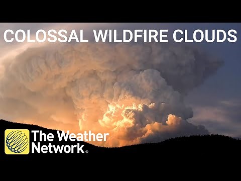 Colossal wildfire clouds can create their own weather