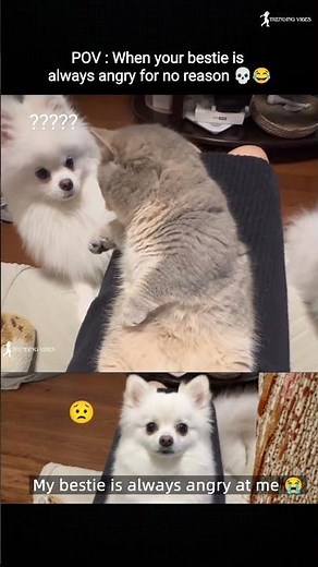 💚My Bestie Is Always Angry at Me 😭😂 #trending #viralvideo #funnyvideo #bestie #shorts