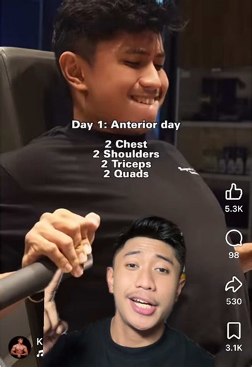 Understanding Anterior & Posterior Day Split for Gym
