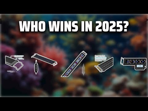 The Top 5 Best Nicrew LED Light in 2025 - Must Watch Before Buying!