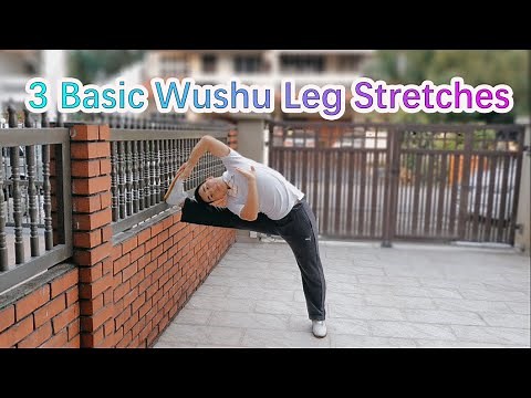 3 Basic Wushu Leg Stretches Tutorial (3 种武术基本压腿教学) - Kung Fu / Wushu Changquan