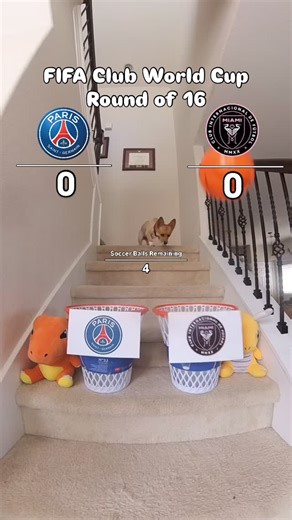 Steph Furry on Instagram: "FIFA Club World Cup Round of 16 pt.3 | PSG vs Inter Miami, can Messi pull off a HUGE upset? 🤷🏻‍♂️ #FIFA #ClubWorldCup #CWC #soccer #futbol #PSG #France #miami #intermiamk #messi #aircorg #corgi #corgipuppy #doglife #dogsofinstagram #dogsdaily #dogsdoingthings #trickshots #buckets #espn #sportscenter #sctop10 #basketball #hoop #ballislife #puppy #fifaclubworldcup #fifaclubworldcup2025"